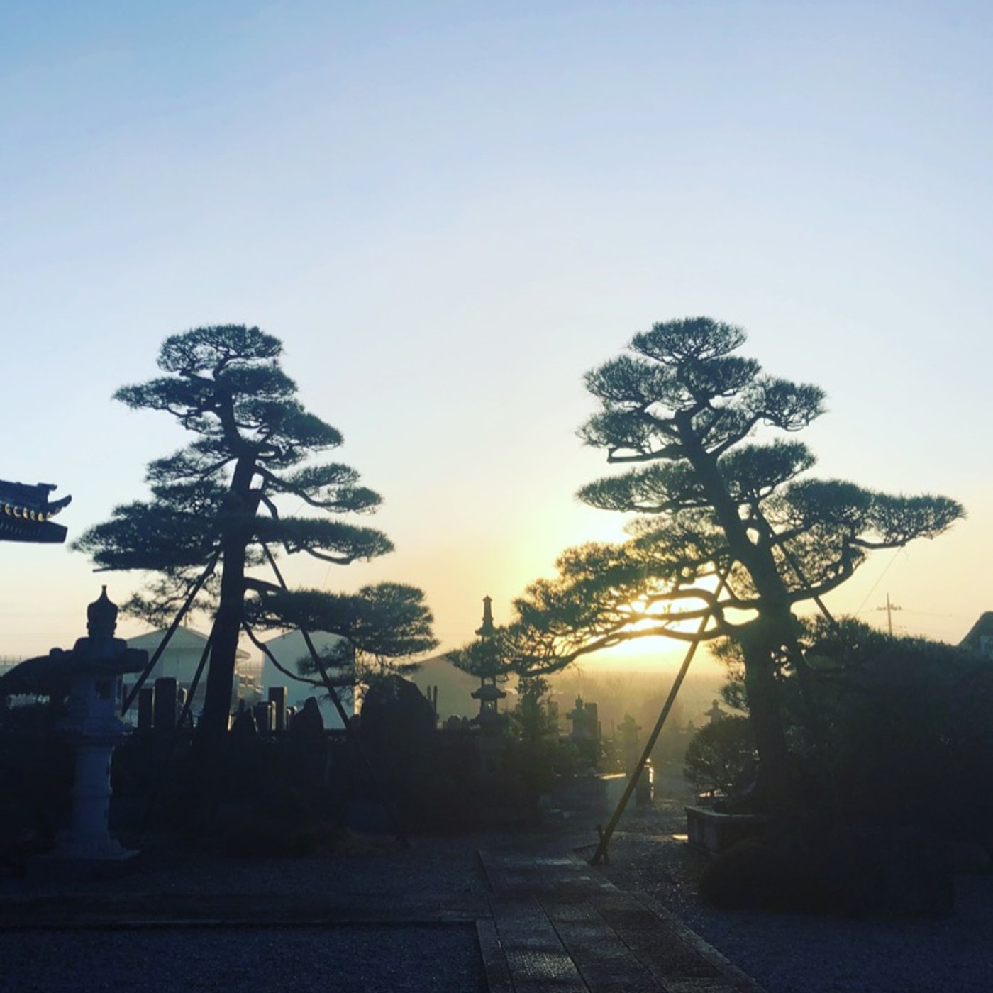 Temple Morning(テンプルモーニング)の話 episode artwork