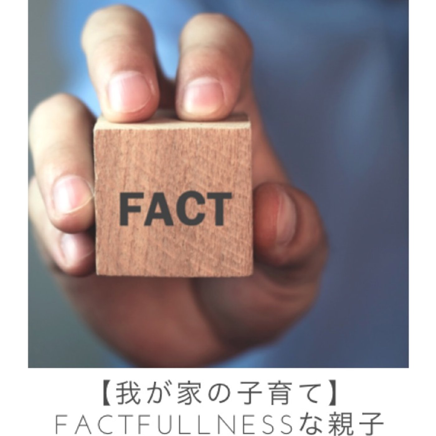 #12【我が家の子育て】FACTFULLNESSな親子/子どもと親は同等の人間 episode artwork