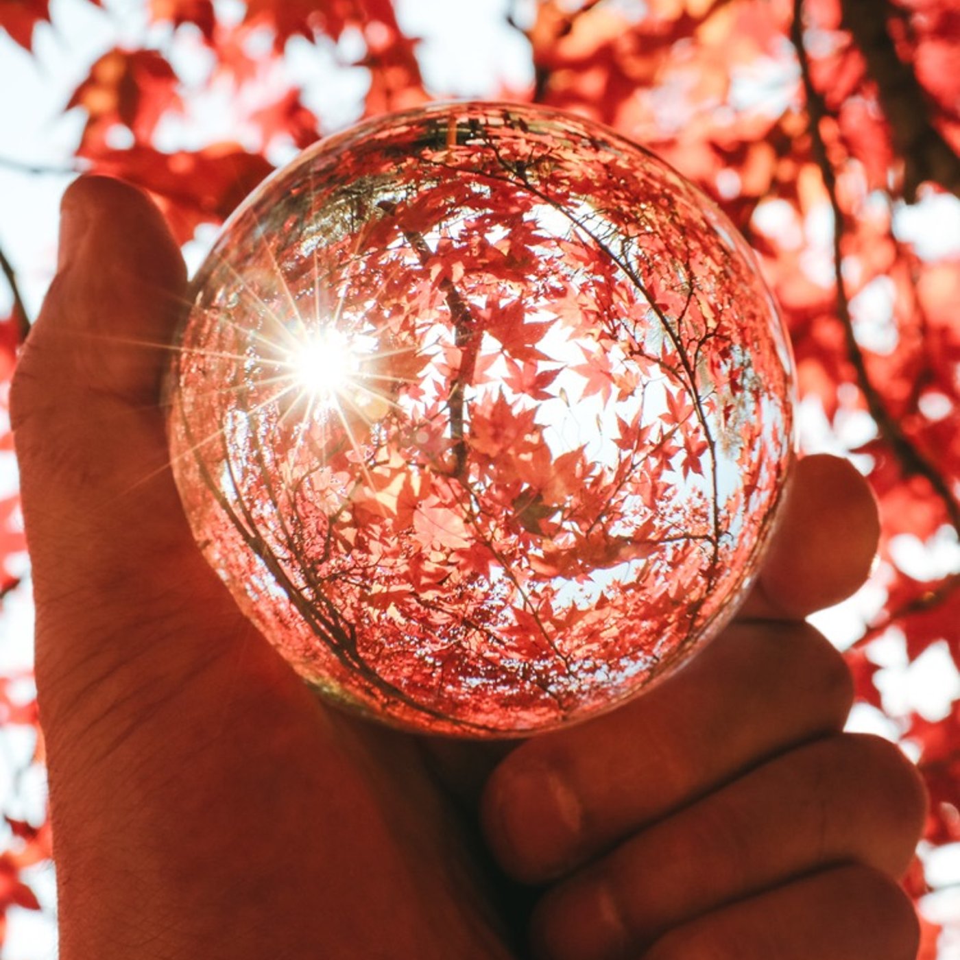 #42 ひとりごと〜どんな自分になりたいかをイメージしよう〜 episode artwork