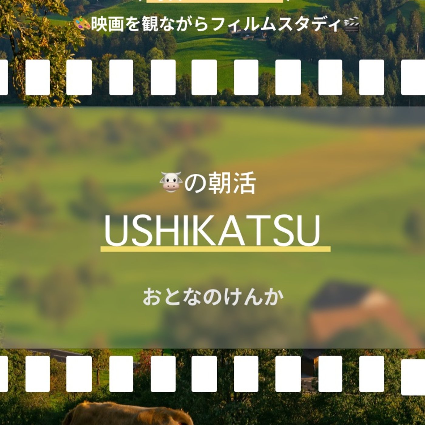 おうしの朝活🐮USHIKATSU【16日目】フィルムスタディ episode artwork