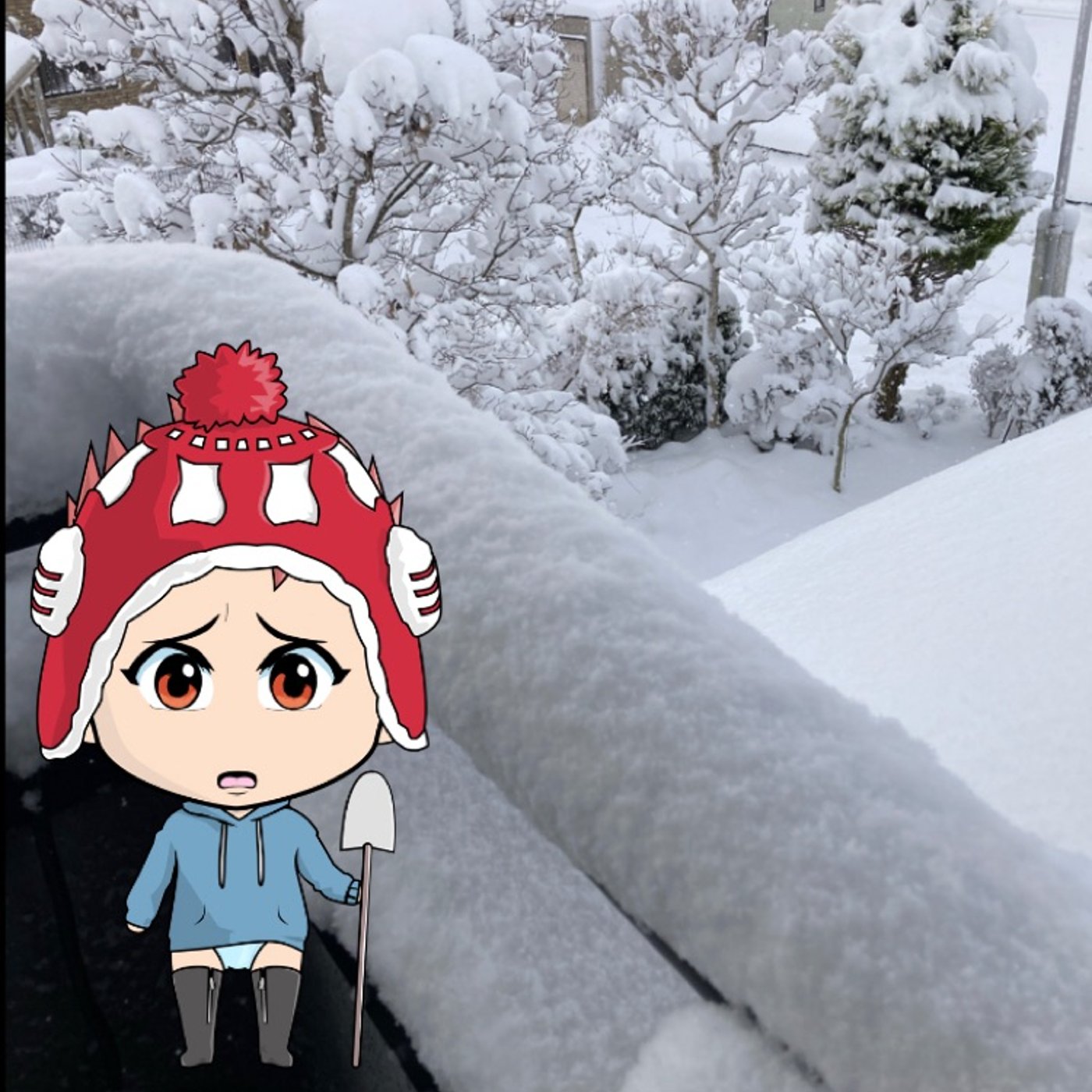 おはよう☀️モーニング☀️ 『雪遊び』 episode artwork
