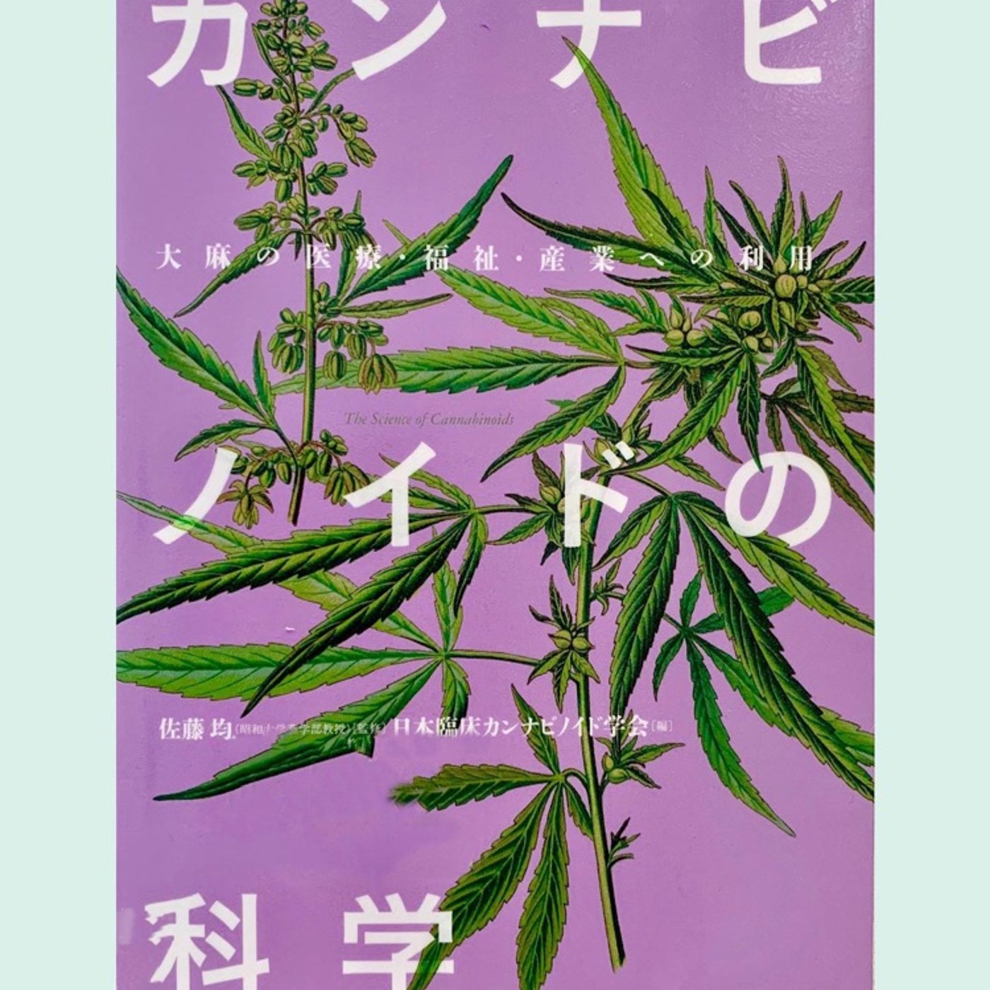 年末年始でストレス溜まってる方へ／CBDは何なのかご存知ですか？ episode artwork
