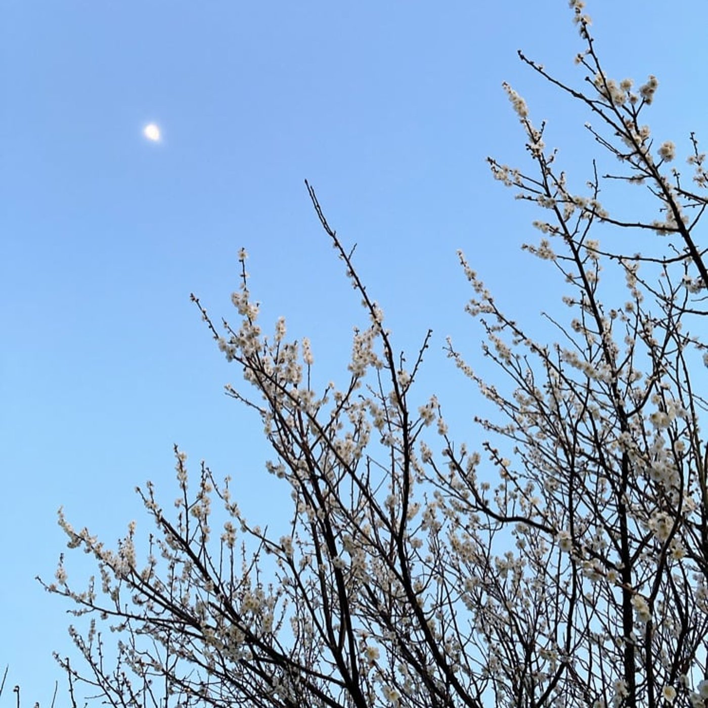 HappyAngel∞BlueStar＝無限の世界＝