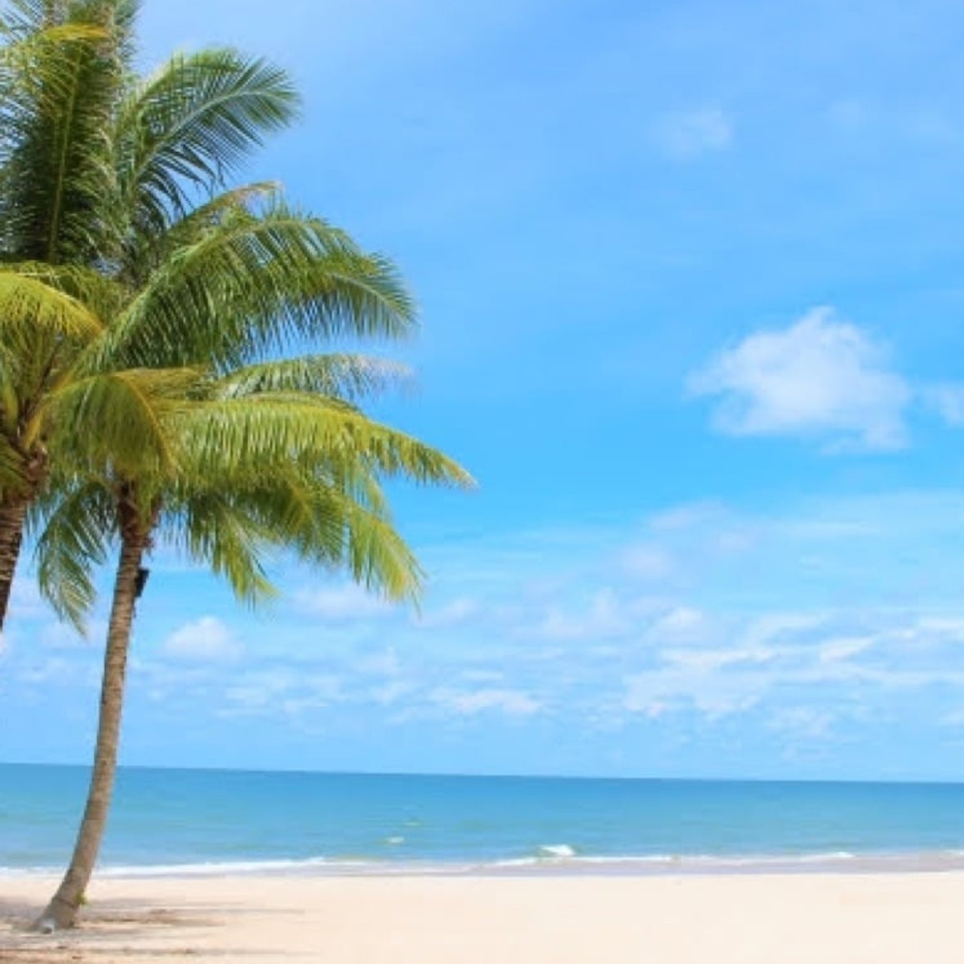 #8 通販沼から引き揚げてくれた人