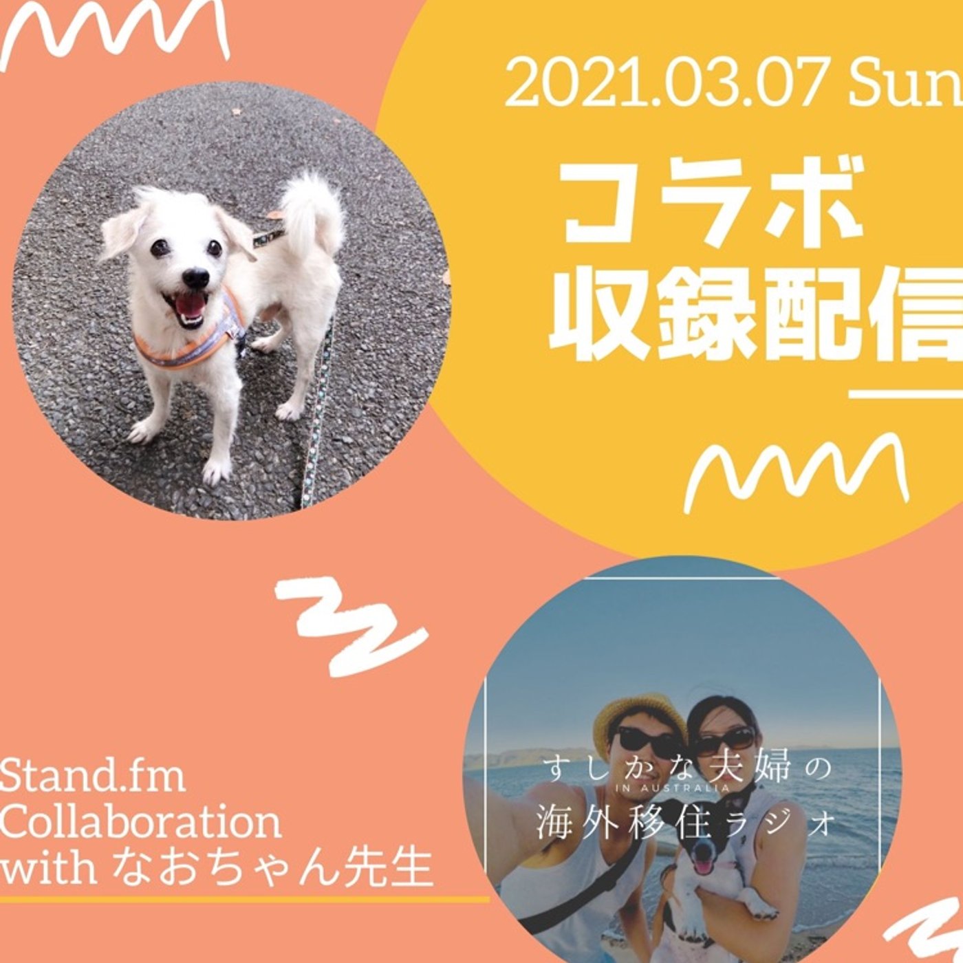 #329 なおちゃん先生🐶✖︎すしかな夫婦コラボ episode artwork