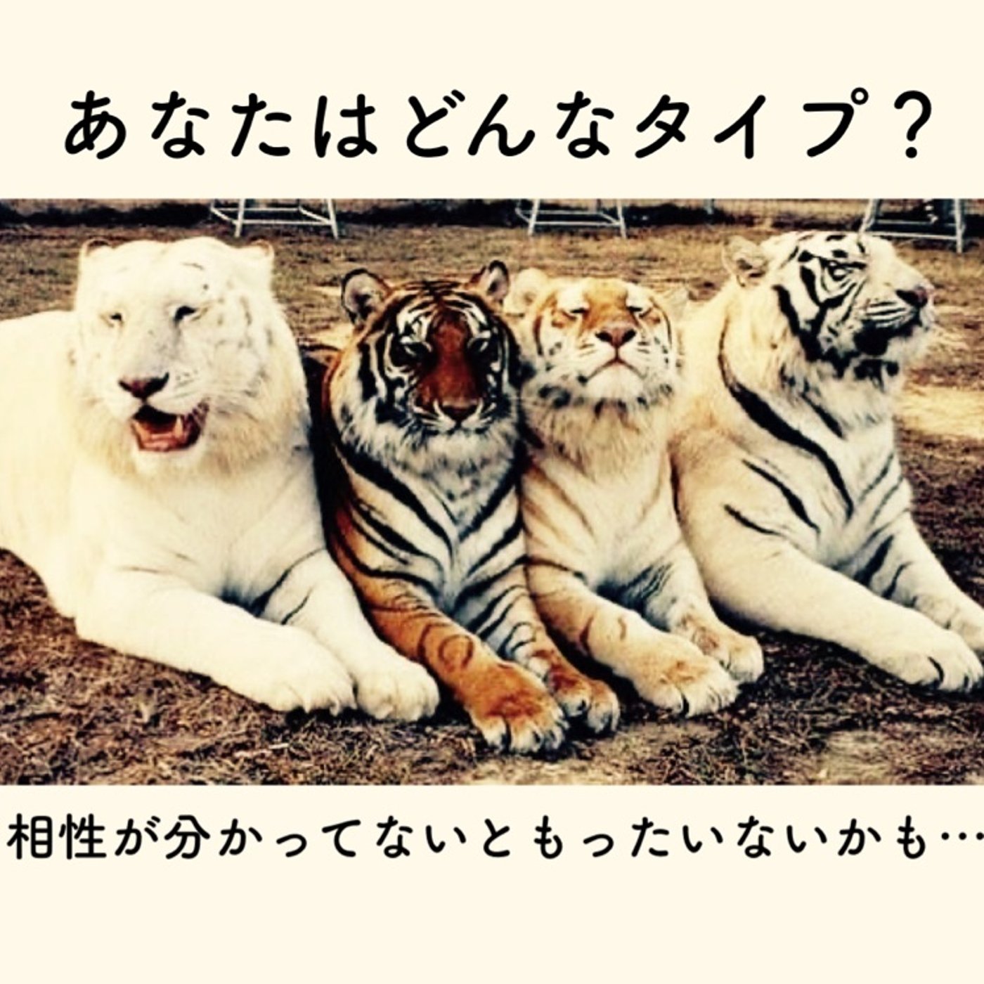 あなたは「頑張る」を楽しめるタイプ？楽しめないタイプ？ episode artwork