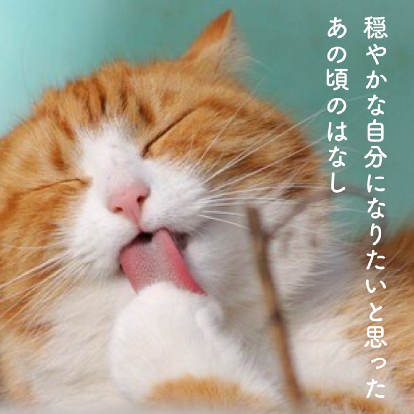 穏やかになるためには…そんなことを思いながらしゃべってみました。 episode artwork