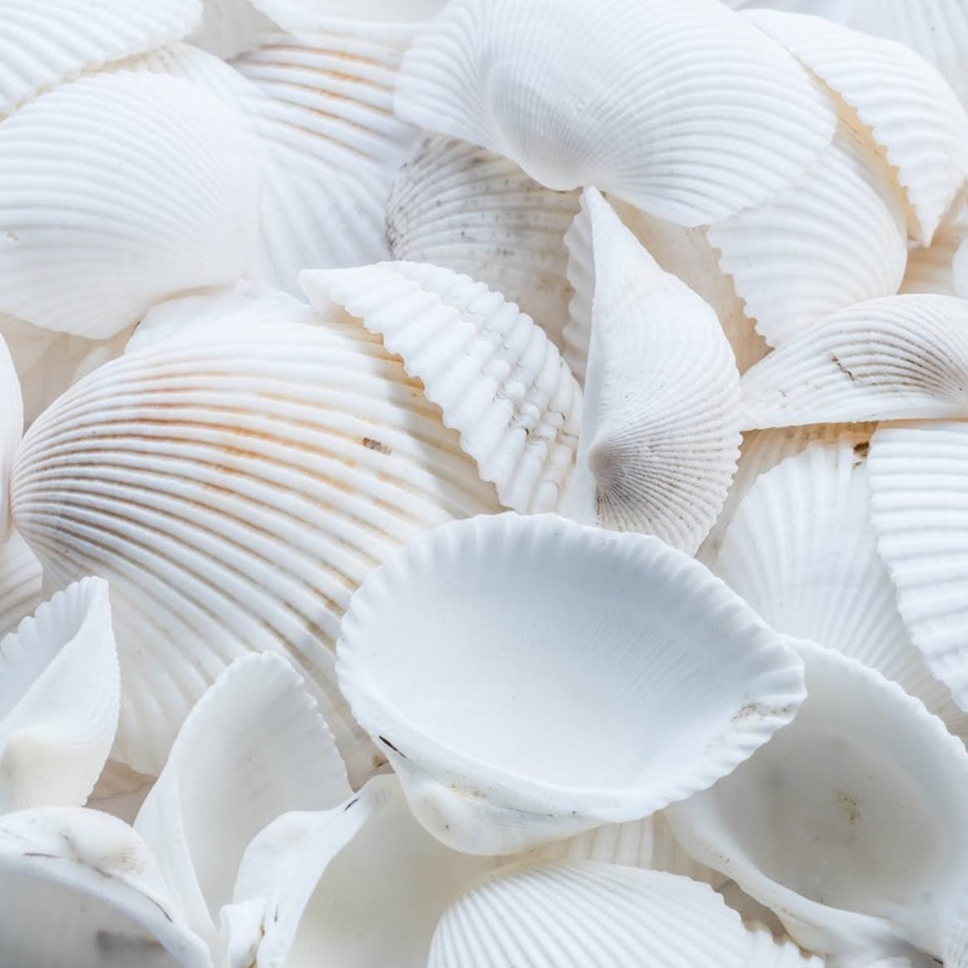 #15 食材の在庫表