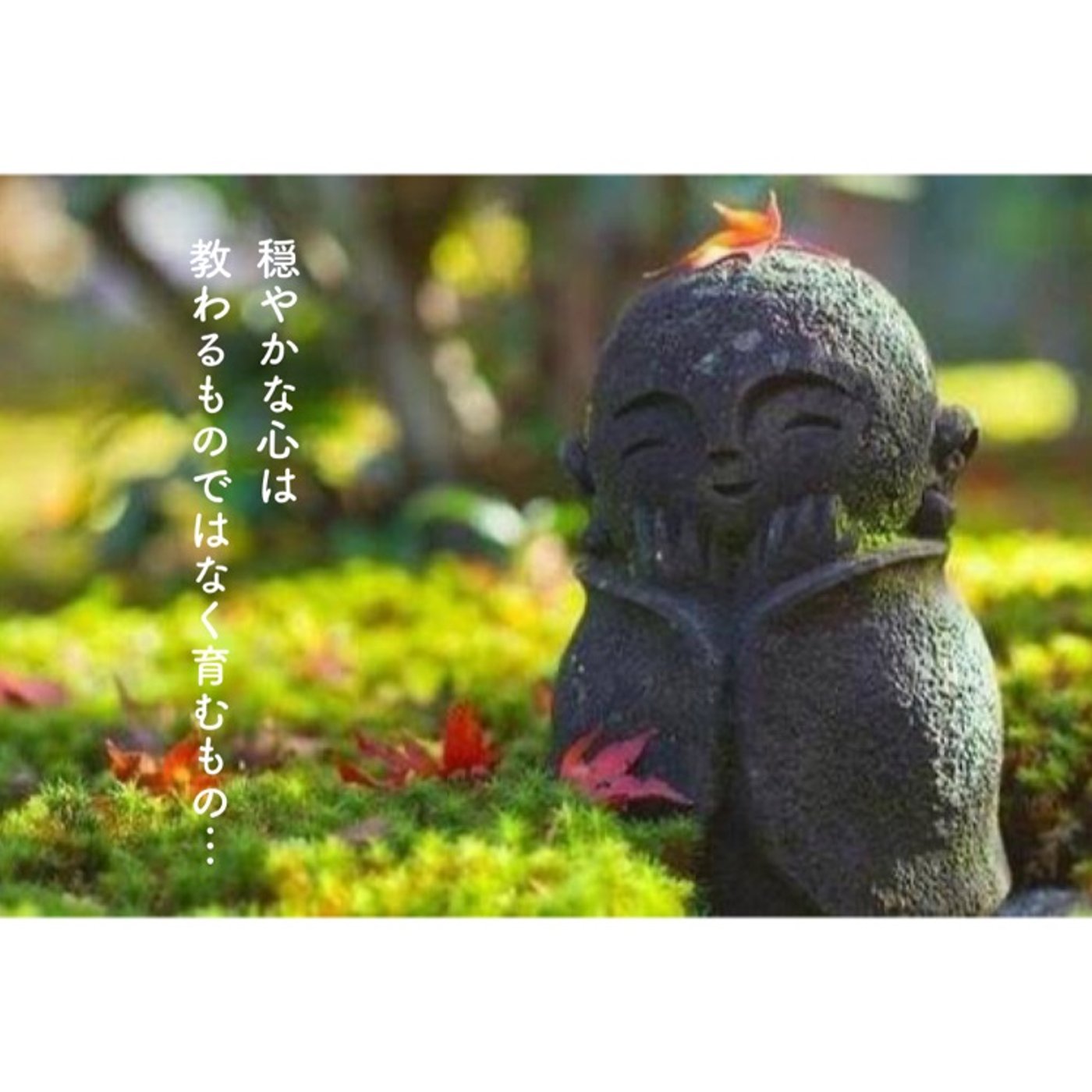穏やかな自分を育むために… episode artwork