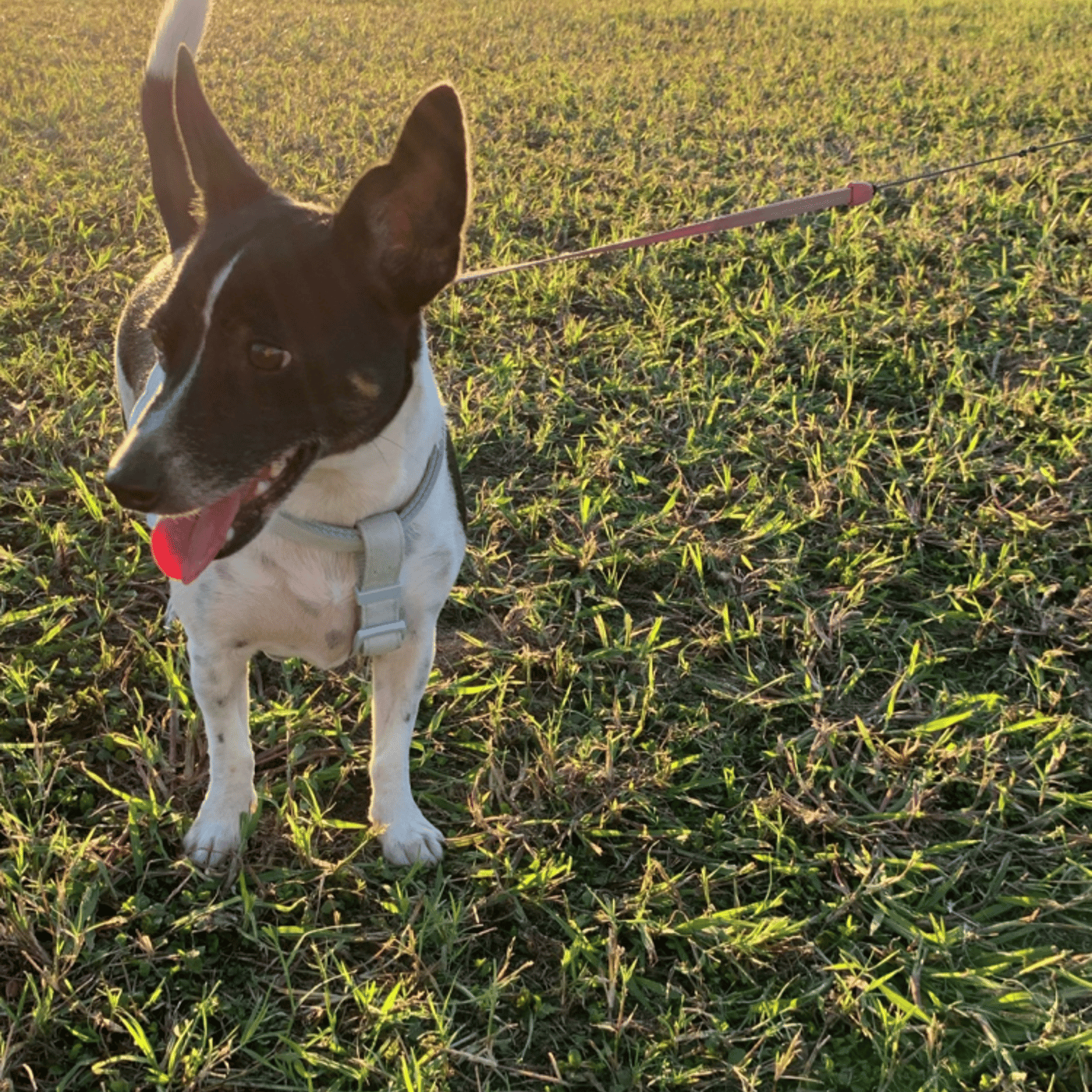 #359 インターネット・スマホ中毒についてLIVE episode artwork