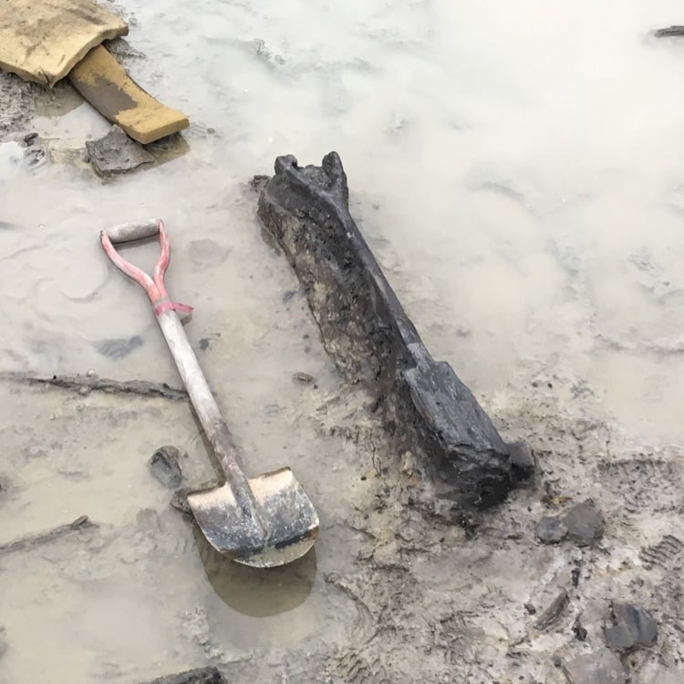 #18 突撃！近所の発掘現場