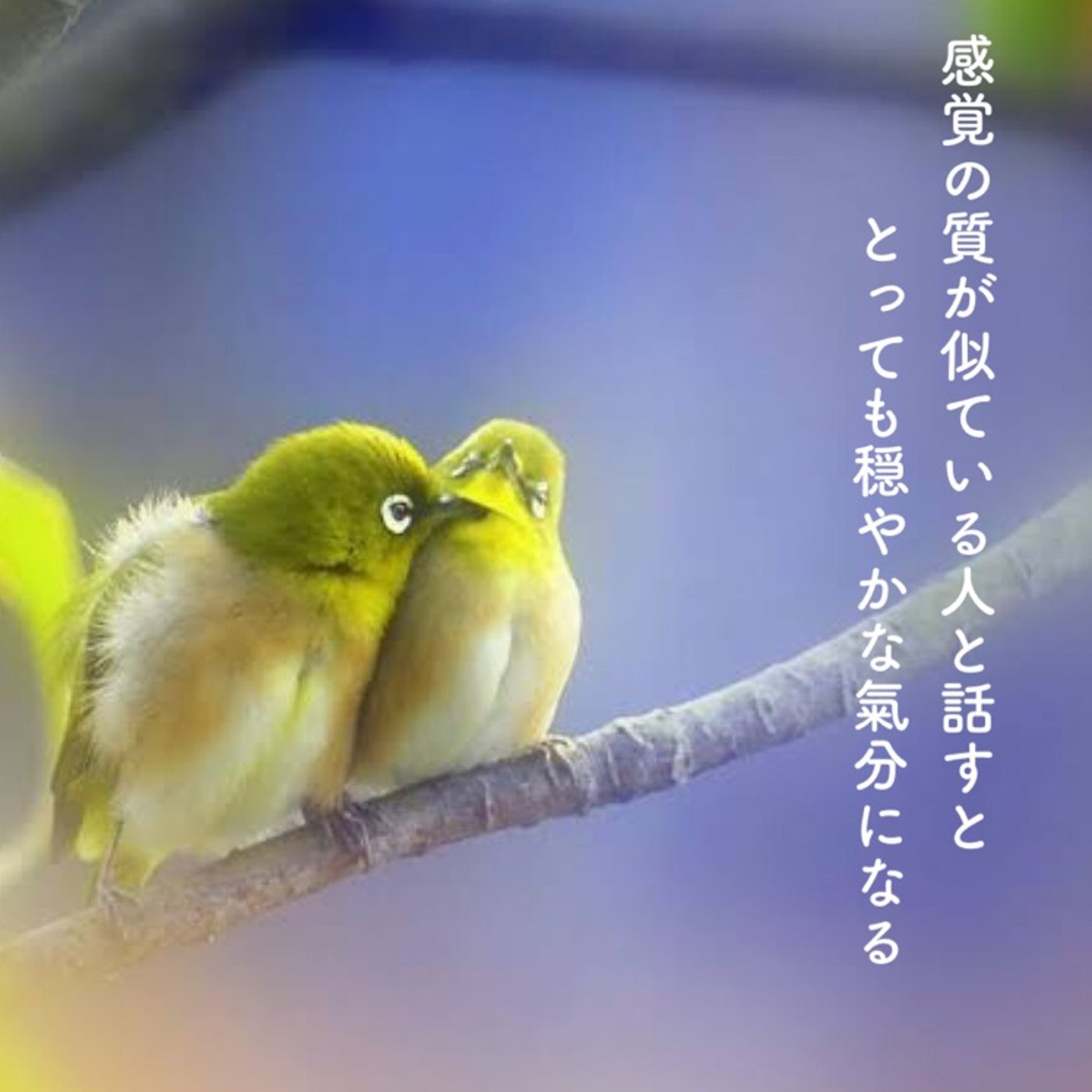 感覚の質が似た人と話していると、とっても心地いい episode artwork
