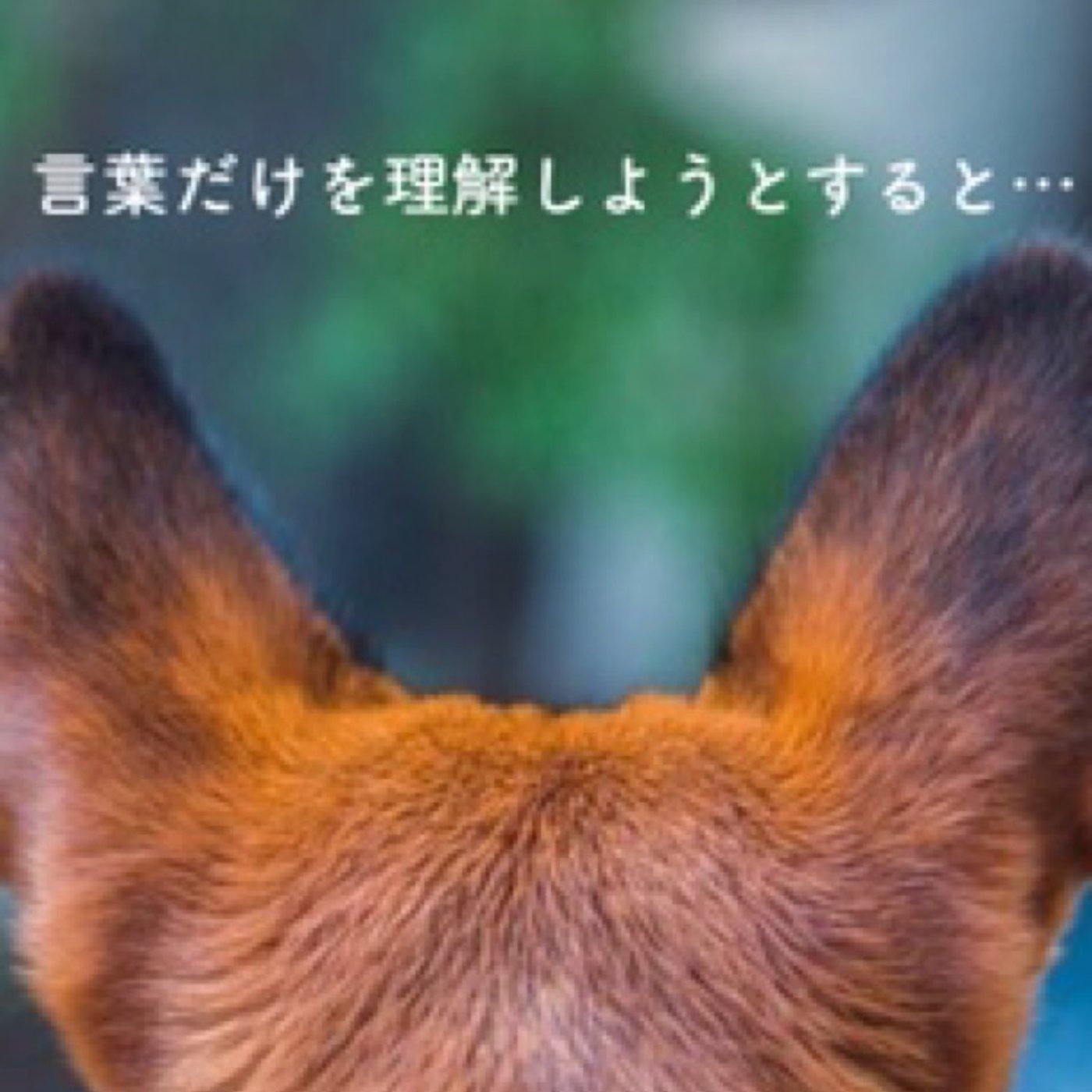 言葉は大切だけど、表面的な言葉の意味だけを追うと… episode artwork