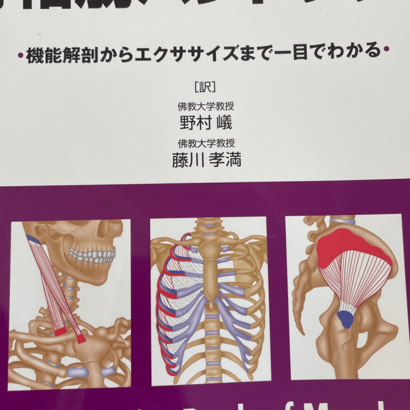 アロマセラピーと解剖生理学の話をしたら最終的にROOMを爆破せざるを得なくなった件について episode artwork