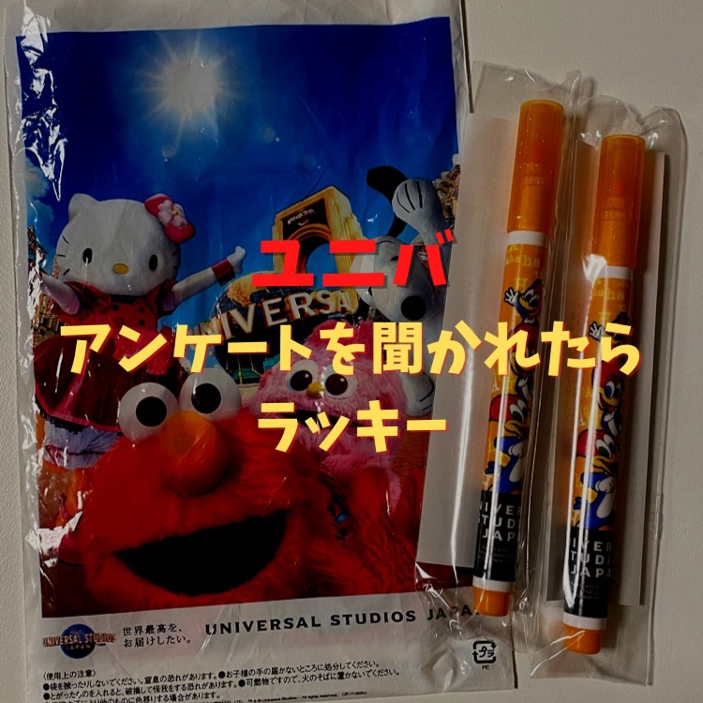 #25 USJ入口アンケートに選ばれるとマジ超ラッキーな話 episode artwork