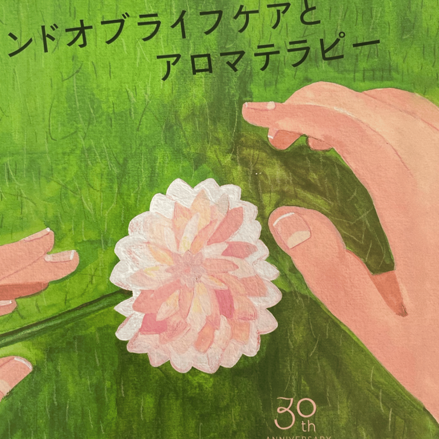 皆さんはエンドオブライフケアについて考えたことがありますか？ episode artwork
