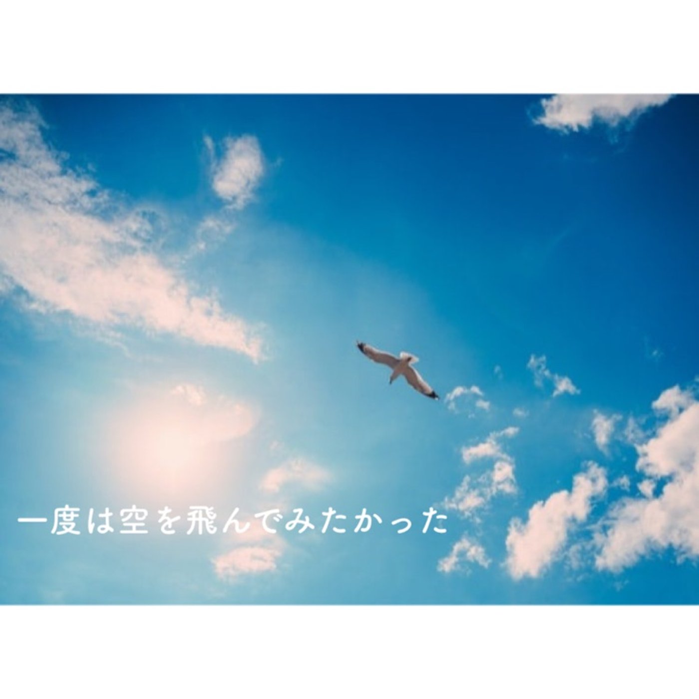 スカイダイビングの予約をしました！ワクワク😊 episode artwork