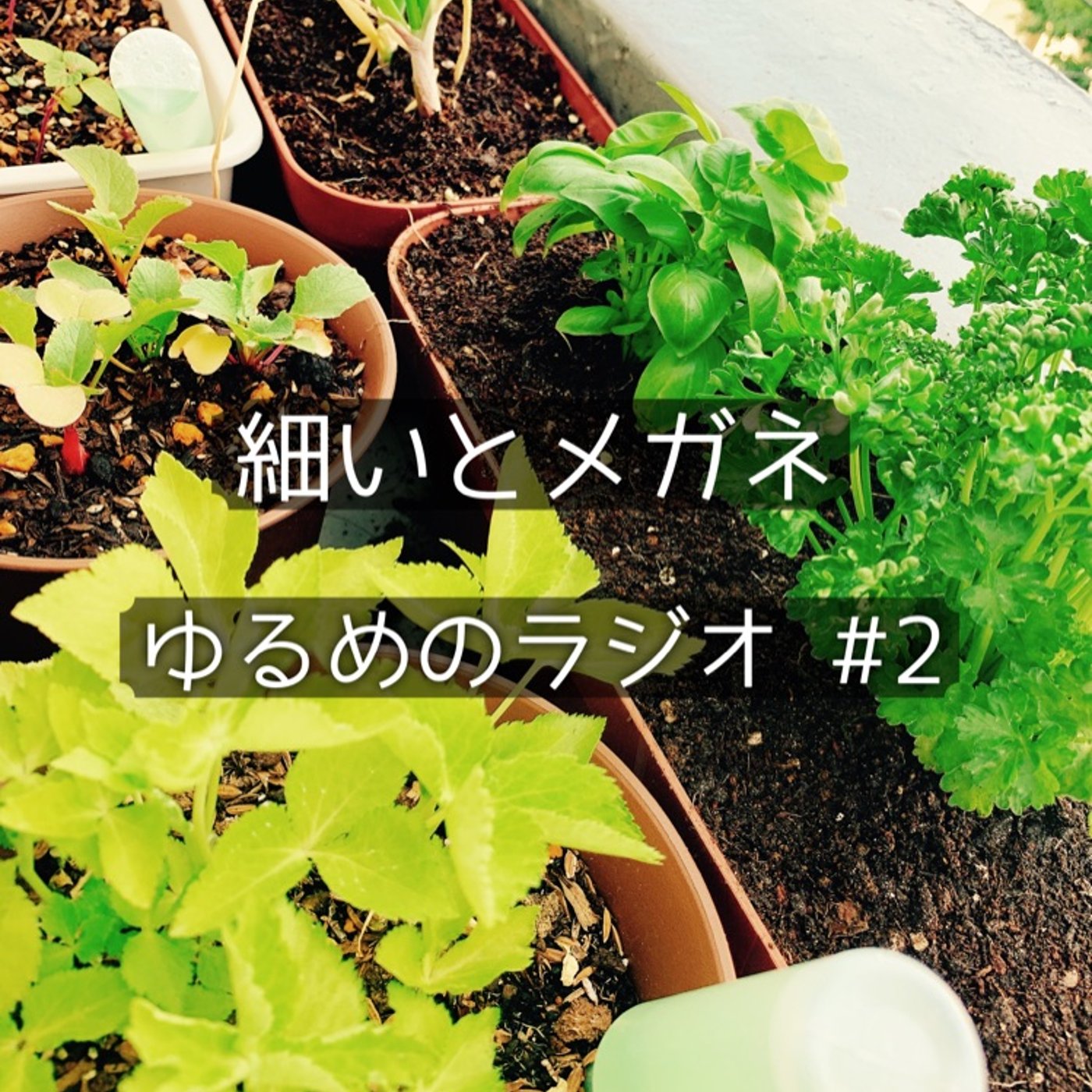 #2 公園でお話 episode artwork