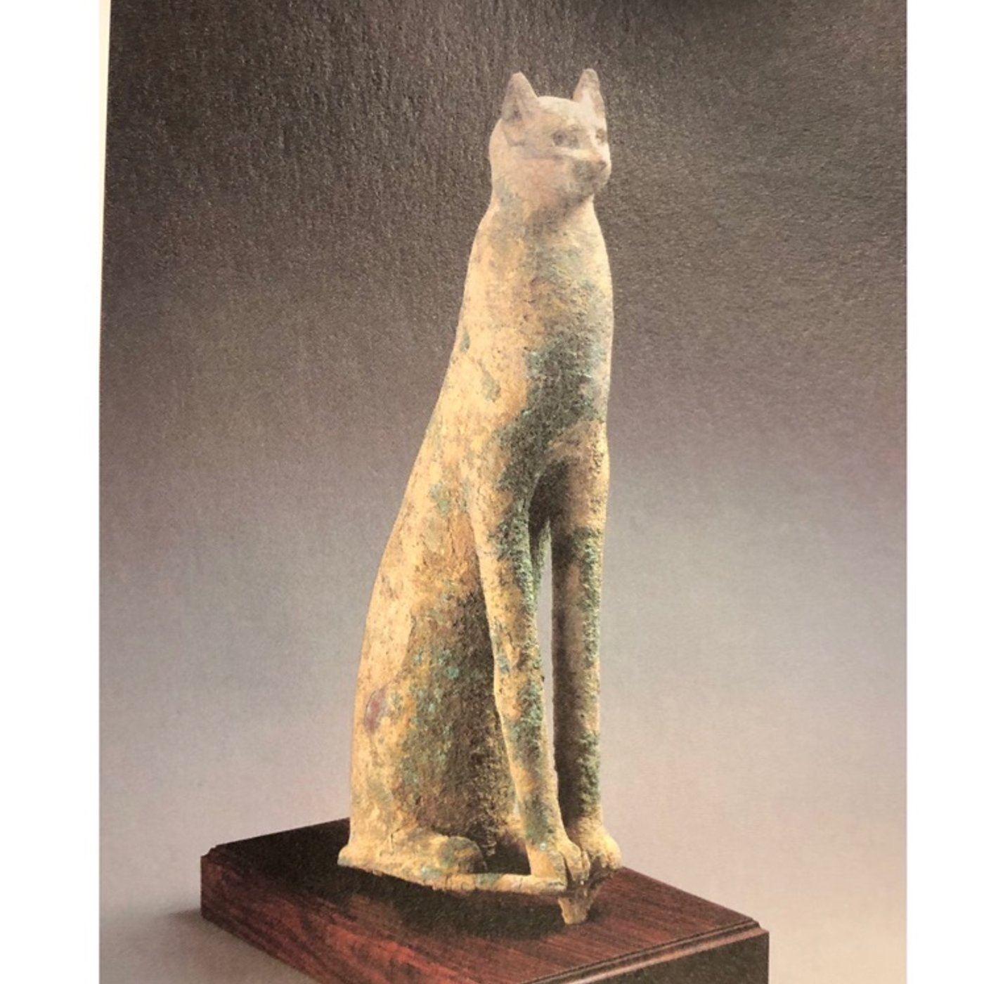 眺めるだけで瞑想「聖猫」 episode artwork
