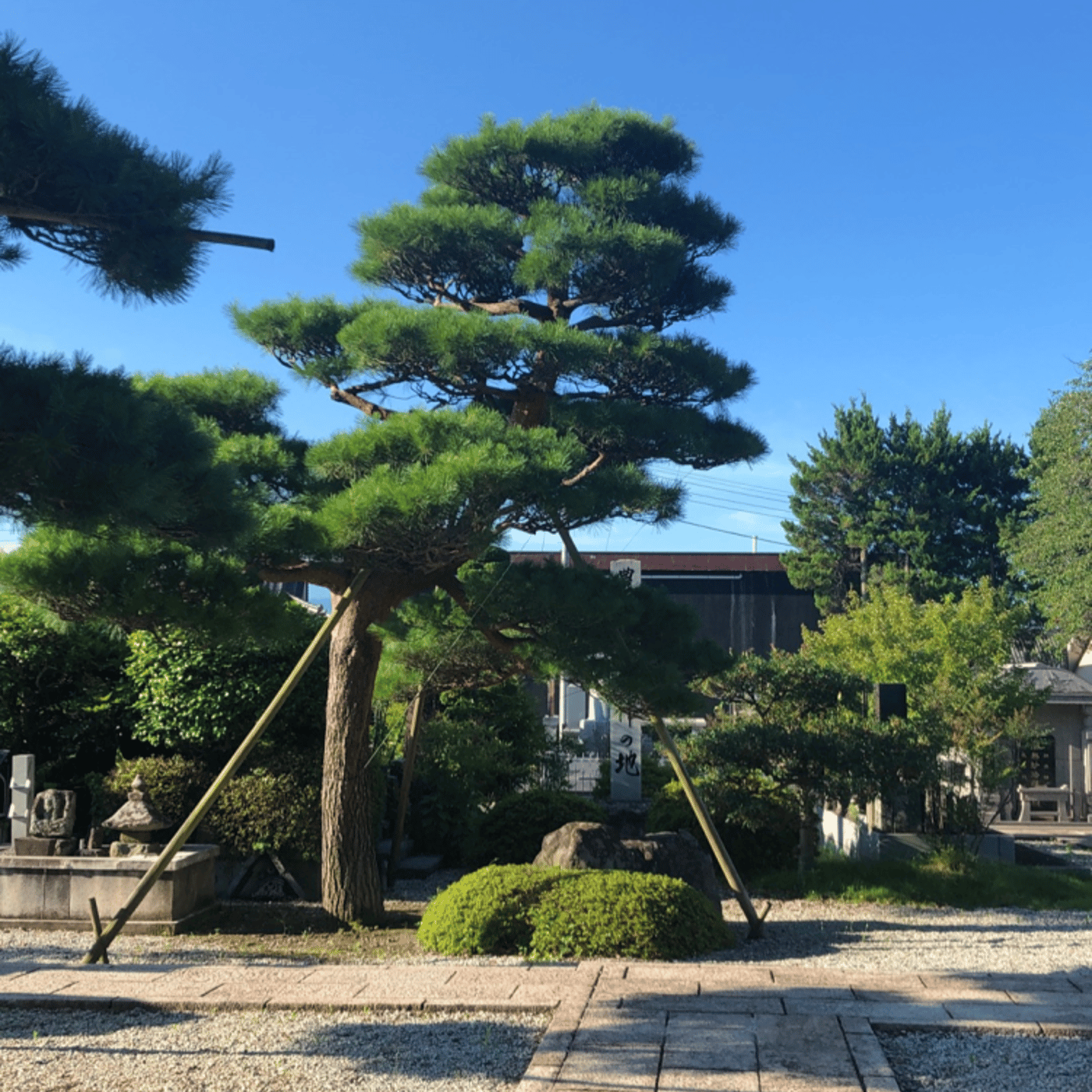 Temple Morning お寺の朝の音をお届けします episode artwork