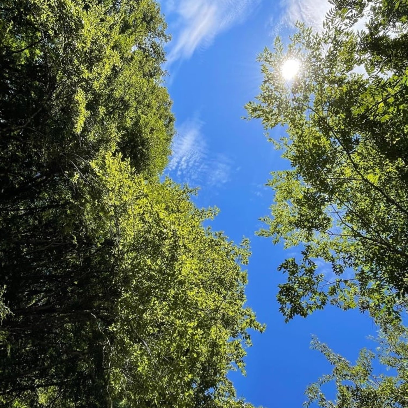 葉山niji🌈tomomi channel♡