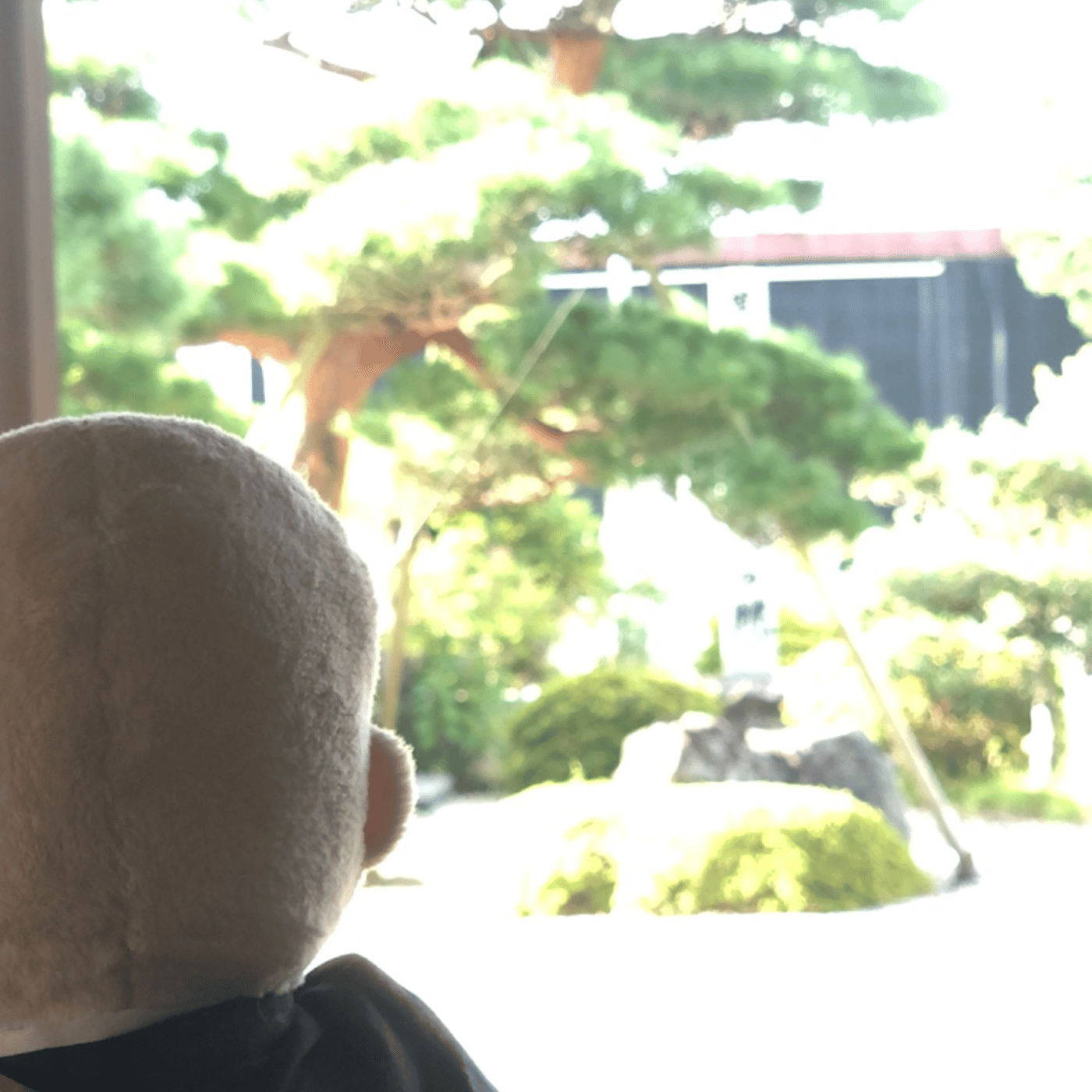 【8/11】Temple Morning お寺の朝の音をお届けします episode artwork