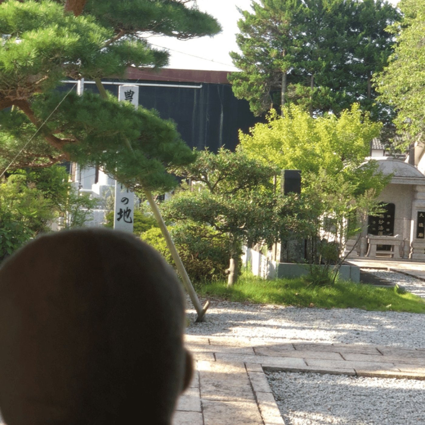 【8/12】Temple Morning お寺の朝の音をお届けします episode artwork