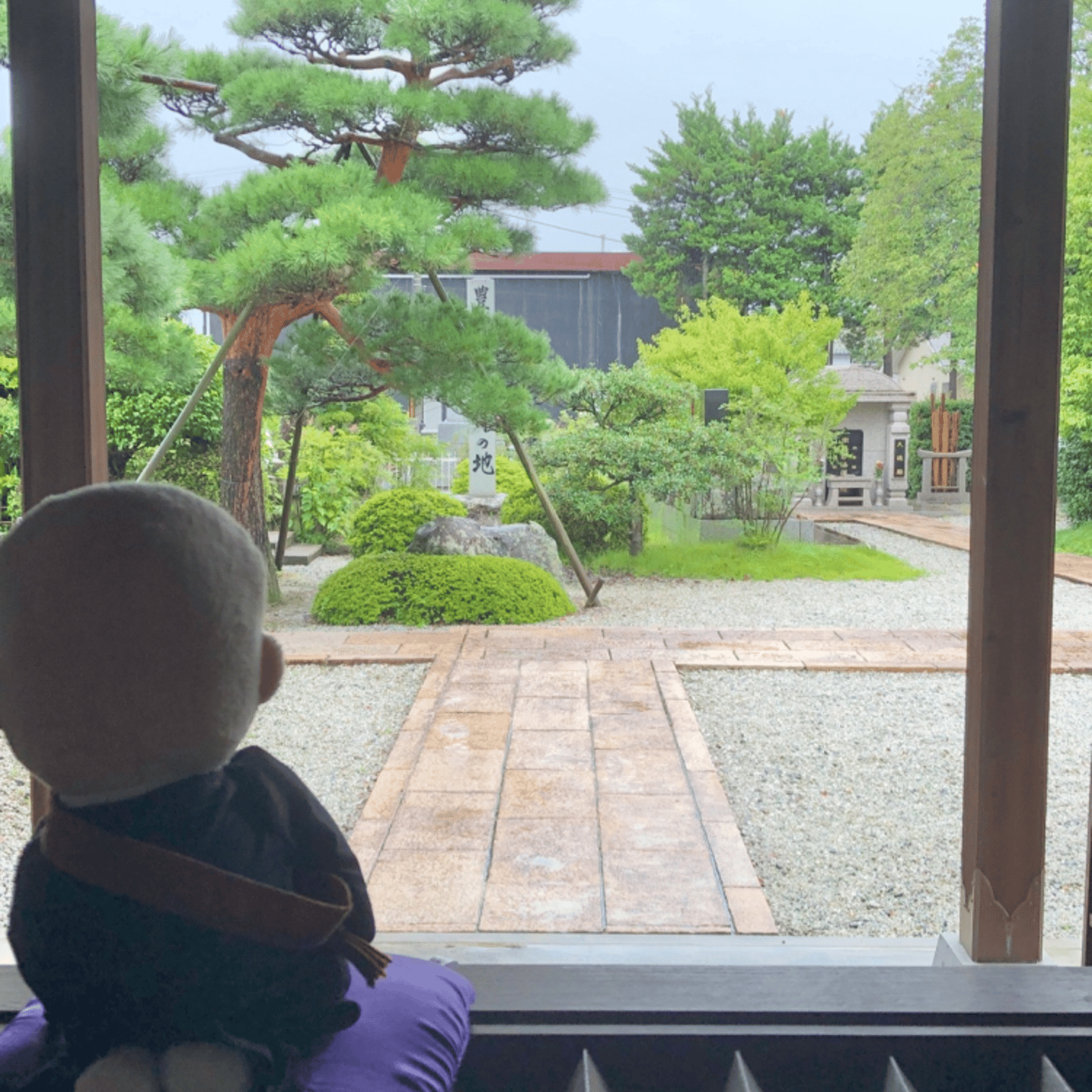 8/18 Temple Morning お寺の朝の音をお届けします episode artwork