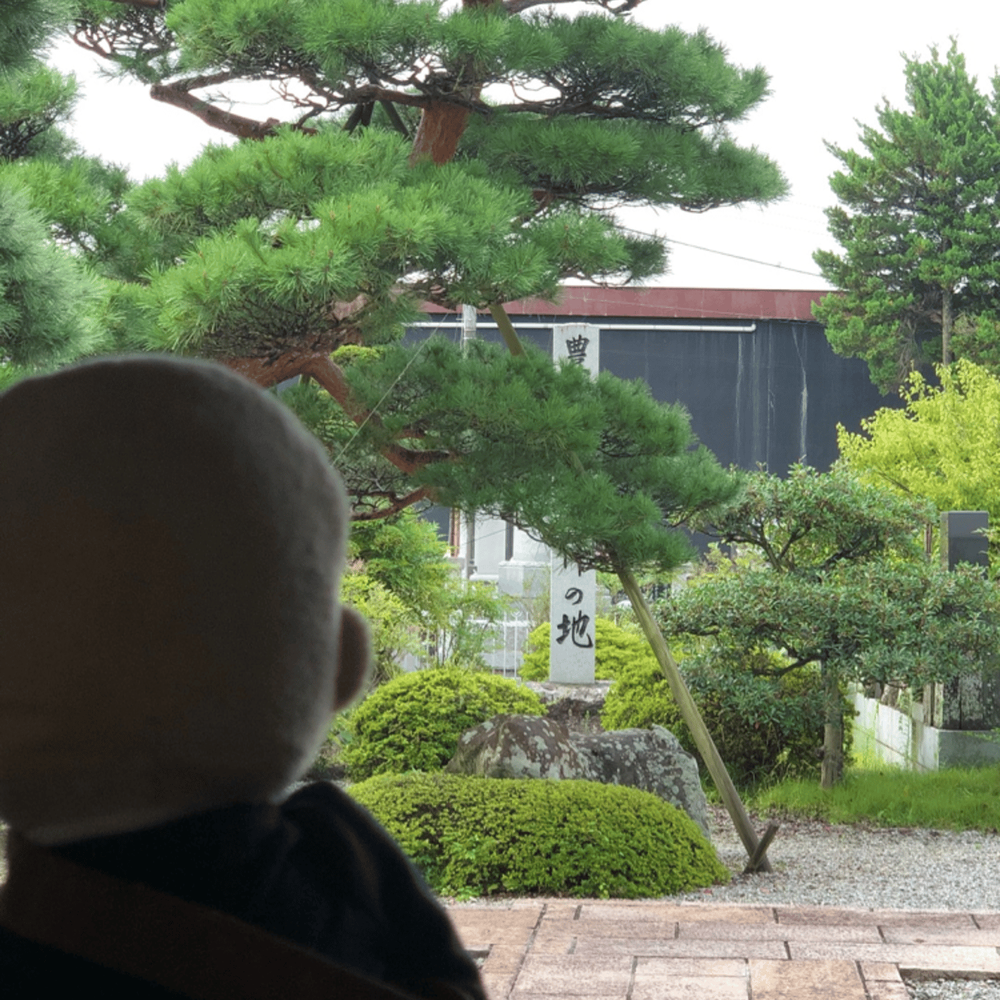 Temple Morning お寺の朝の音をお届けします episode artwork