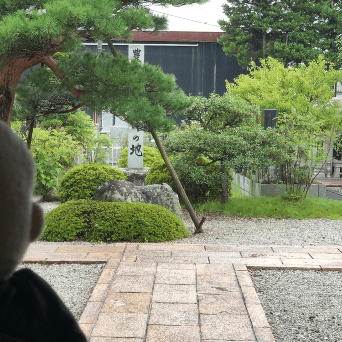 8/23 Temple Morning お寺の朝の音をお届けします episode artwork