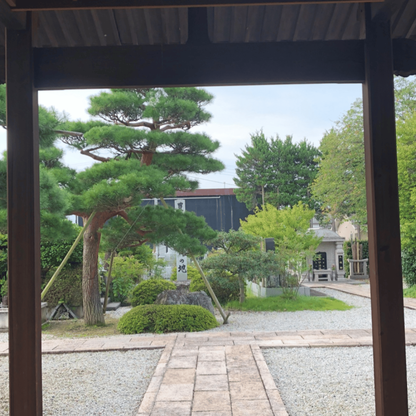 Temple Morning お寺の朝の音をお届けします episode artwork