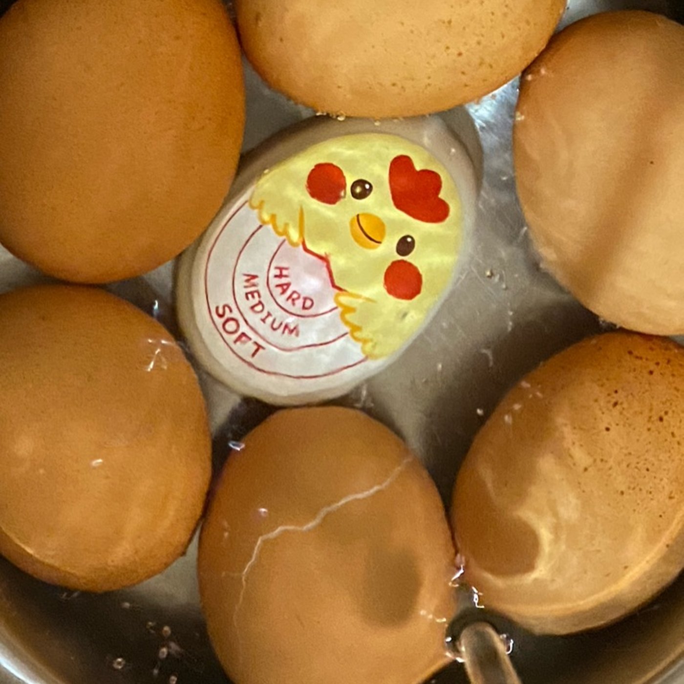 【cooking】煮豚と煮卵を同時進行で下拵え◆酒みりん生姜梅干  episode artwork