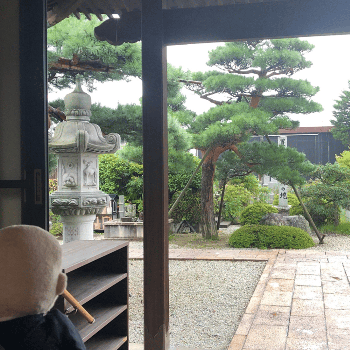 9/3 Temple Morning お寺の朝の音をお届けします episode artwork