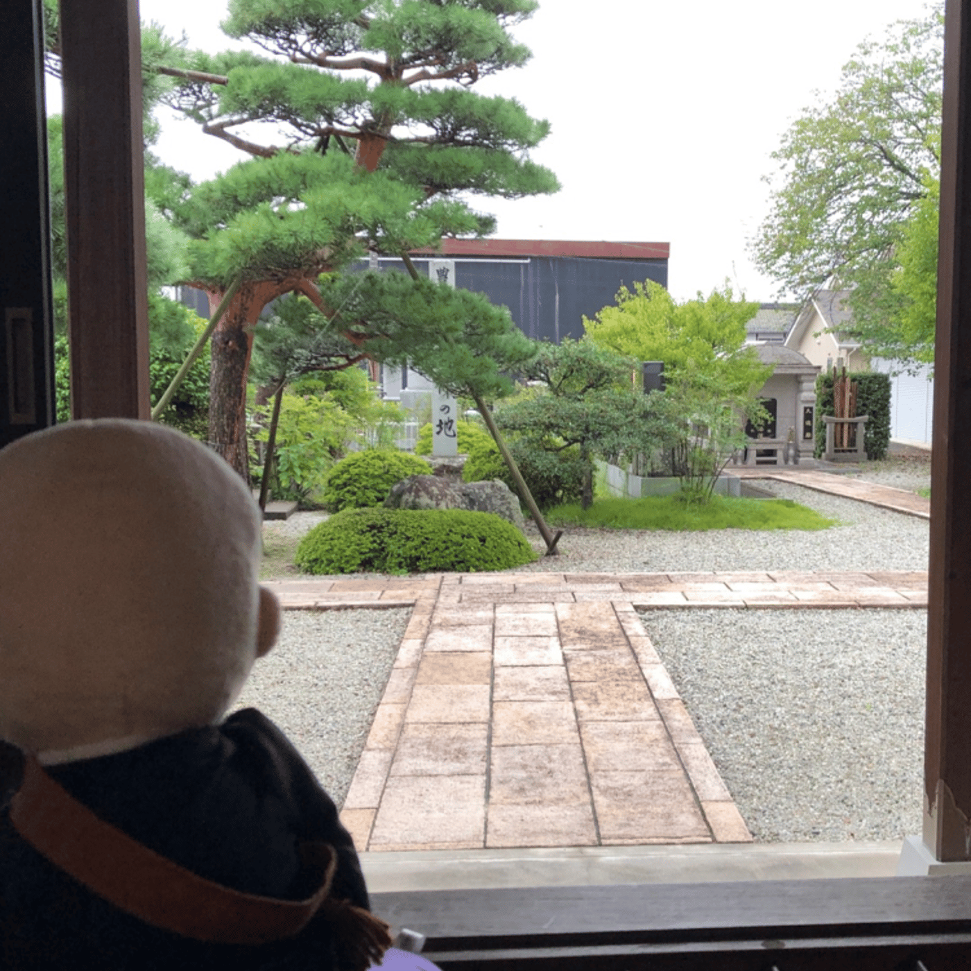 9/5 Temple Morning お寺の朝の音をお届けします episode artwork