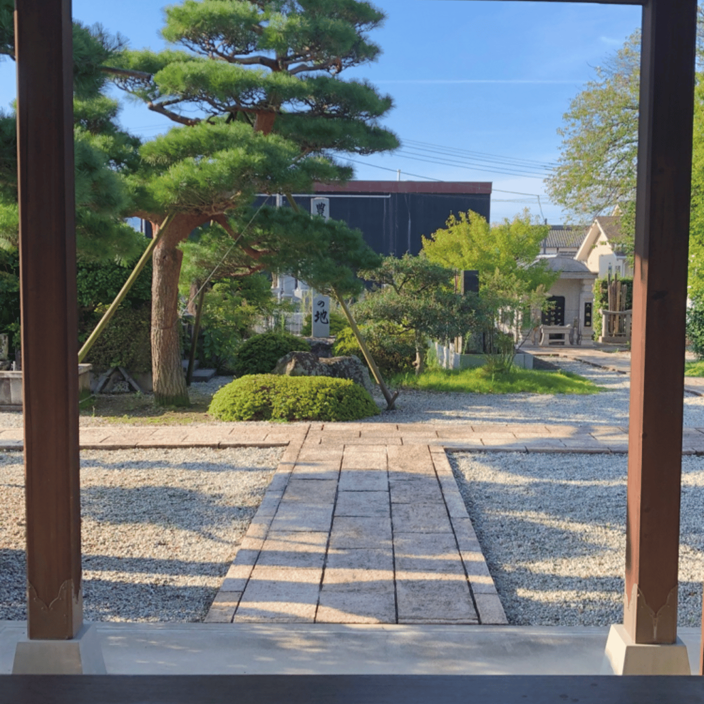 9/7 Temple Morning お寺の朝の音をお届けします episode artwork