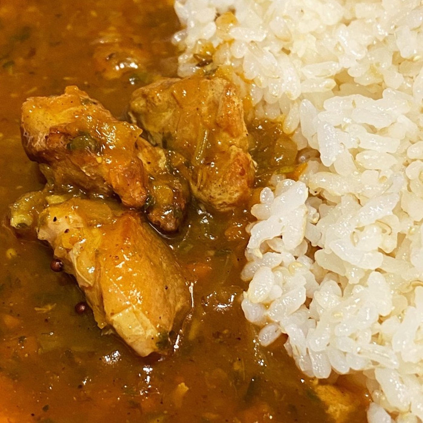 【お取り寄せ】油も小麦粉も使わずに旨味を凝縮◆金澤ななほしカレー episode artwork