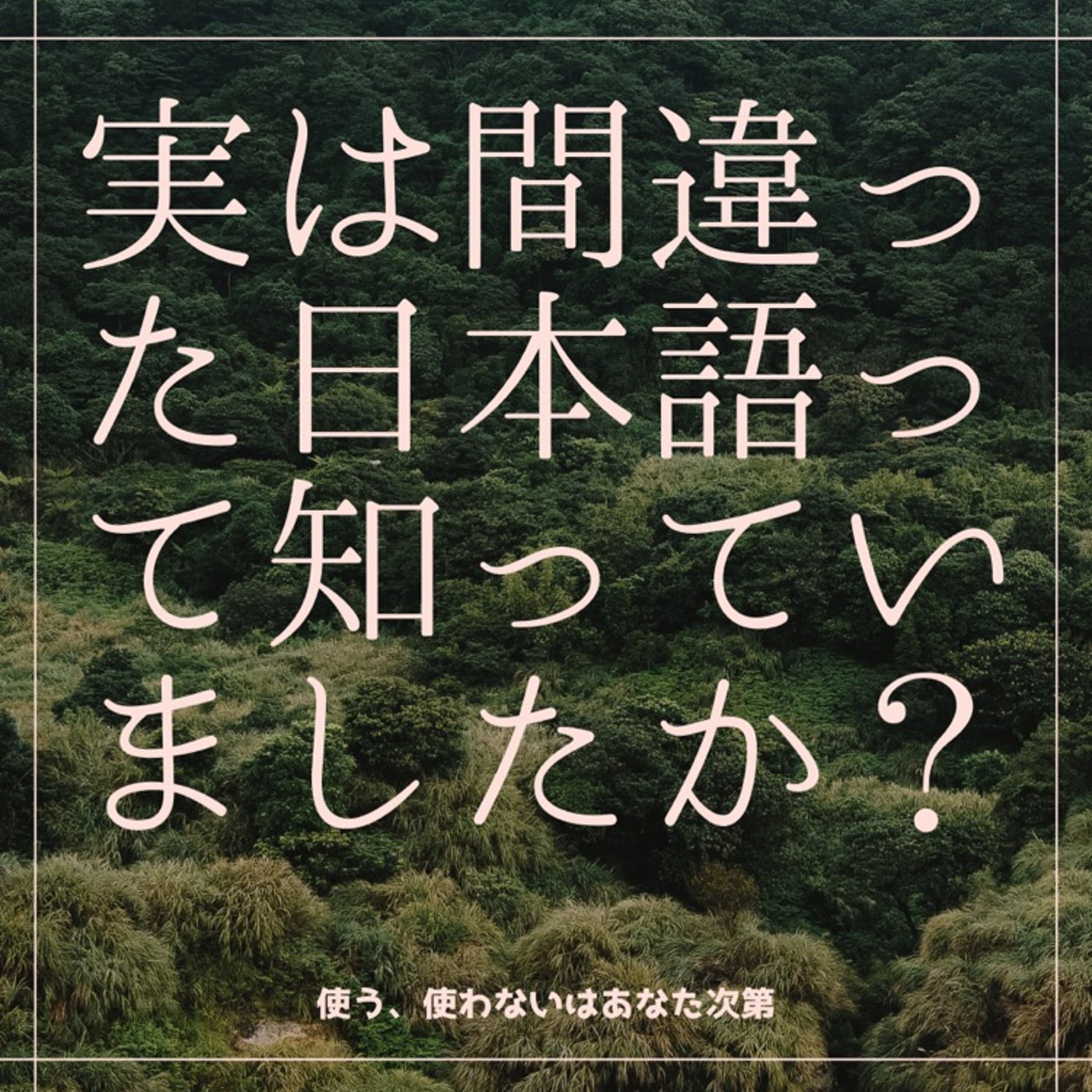 #81 「テンション上がる/下がる」間違った日本語！あんま使うな episode artwork