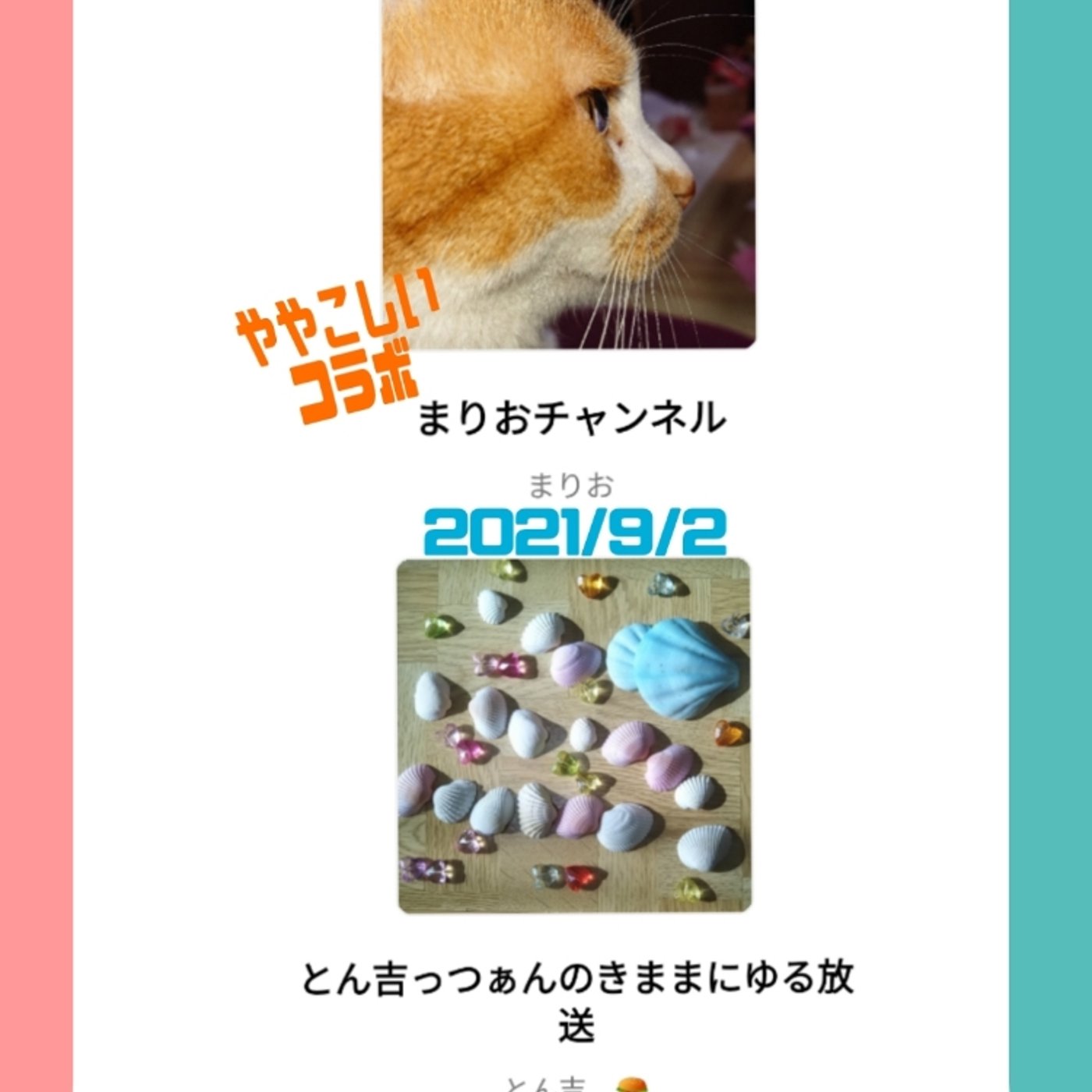 とん吉LIVE 無益な放送。まりおちゃんとコラボ。最後バグりまくりました。 episode artwork
