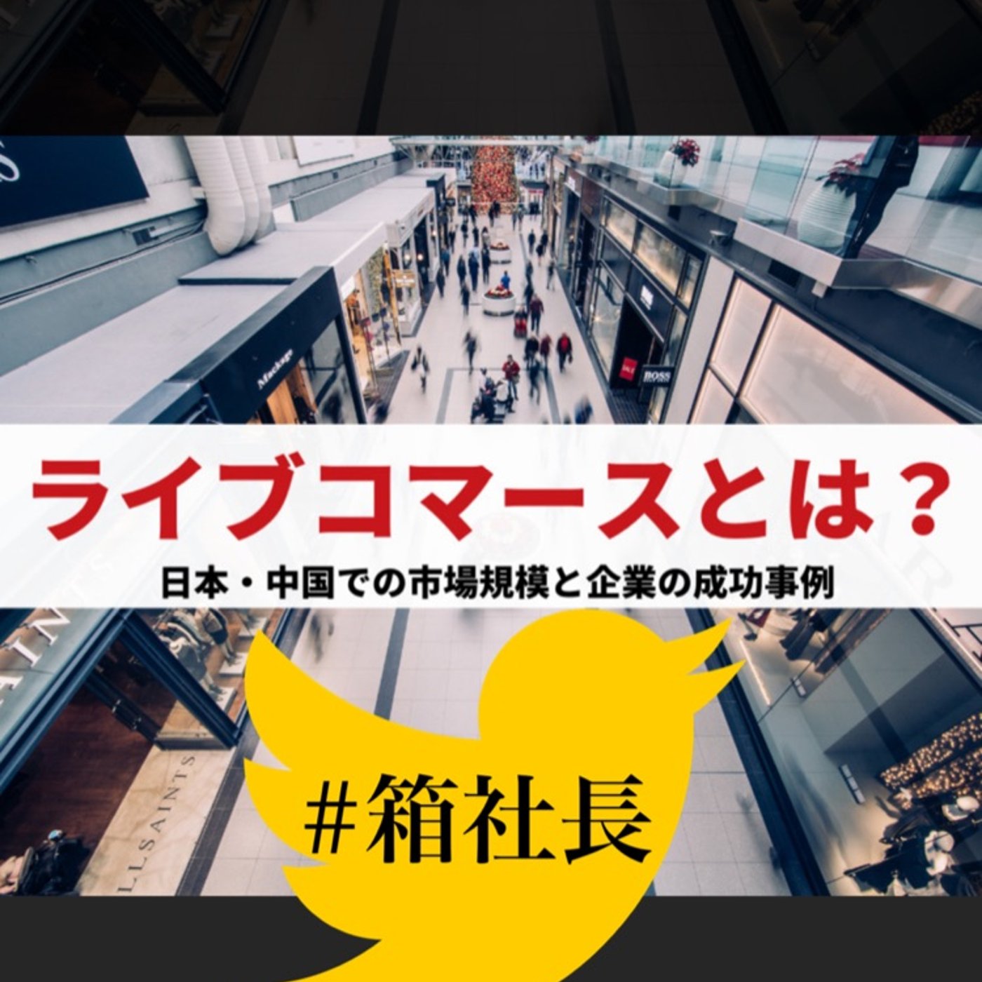 #箱179.箱社長ライブコマース始めたよ！プラットホーム選びに悩まれてる方へ episode artwork