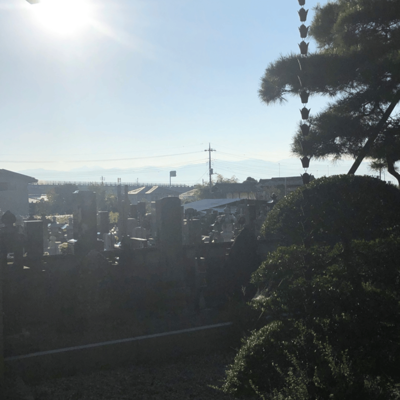 9/24Temple Morning お寺の朝の音をお届けします episode artwork