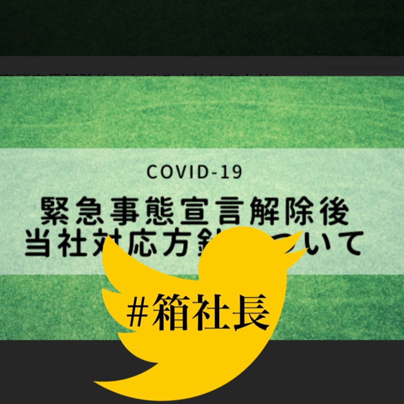 #箱188.緊急事態宣言解除！動き出す経済！生き残る店とは、、、 episode artwork