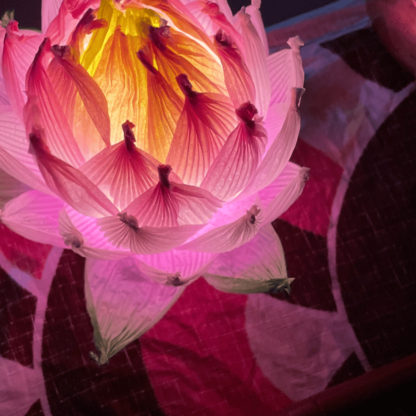 Tibetan Singing Bowl のサウンドヒーリングLIVE#46 episode artwork