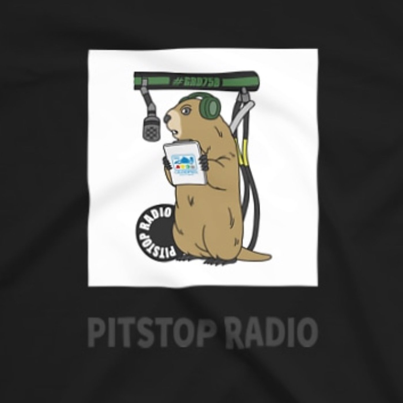 F1ショップGRANDPRIX のPITSTOP RADIO SUPER