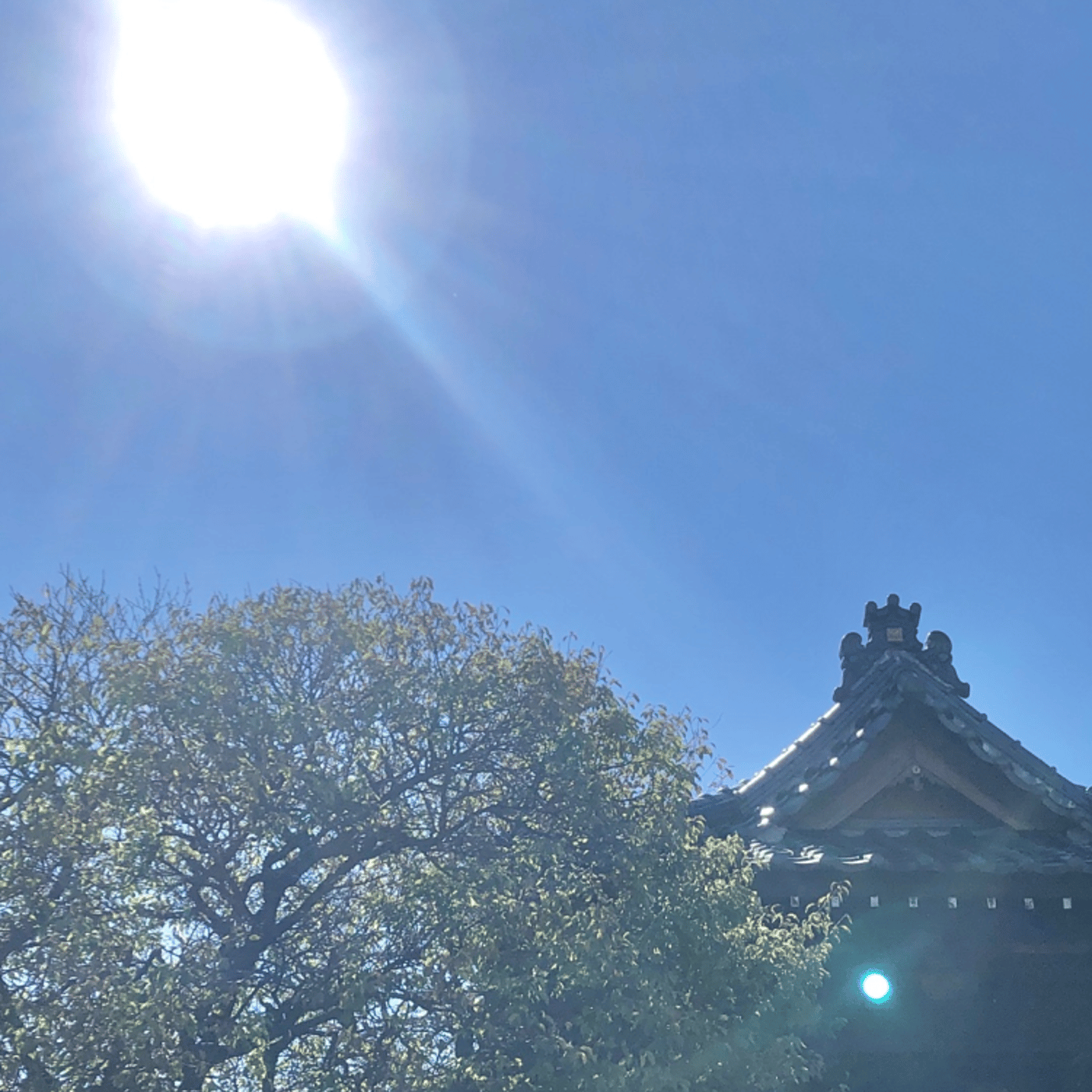Temple Morning お寺の朝の音をお届けします episode artwork