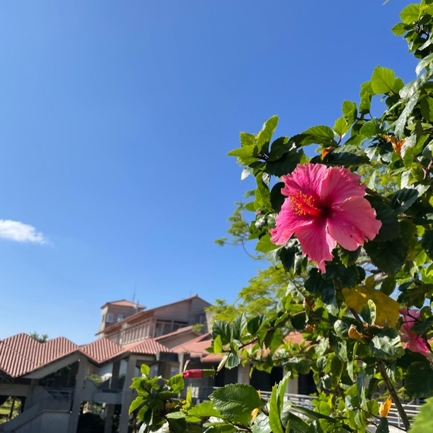 #03アーティストグッズについて音楽業界に入って感じた事