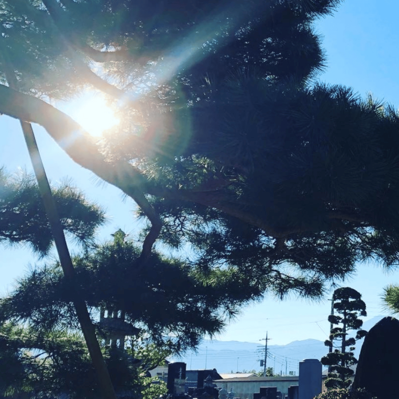 Temple Morning お寺の朝の音をお届けします episode artwork