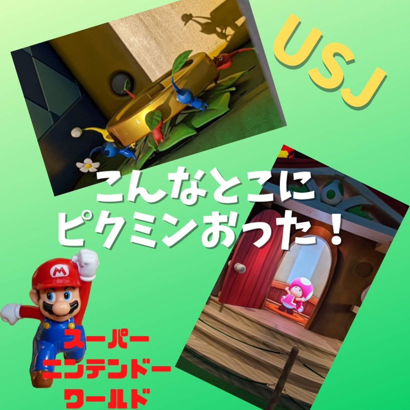 #104 アトラクションに行かないと見ることができないピクミン episode artwork