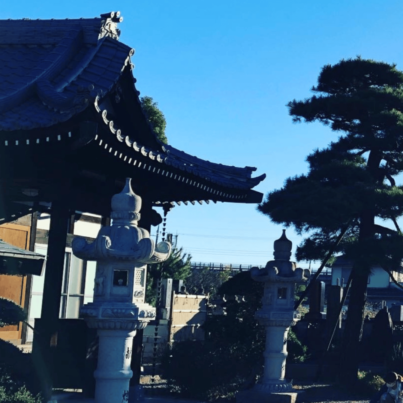Temple Morning お寺の朝の音をお届けします episode artwork