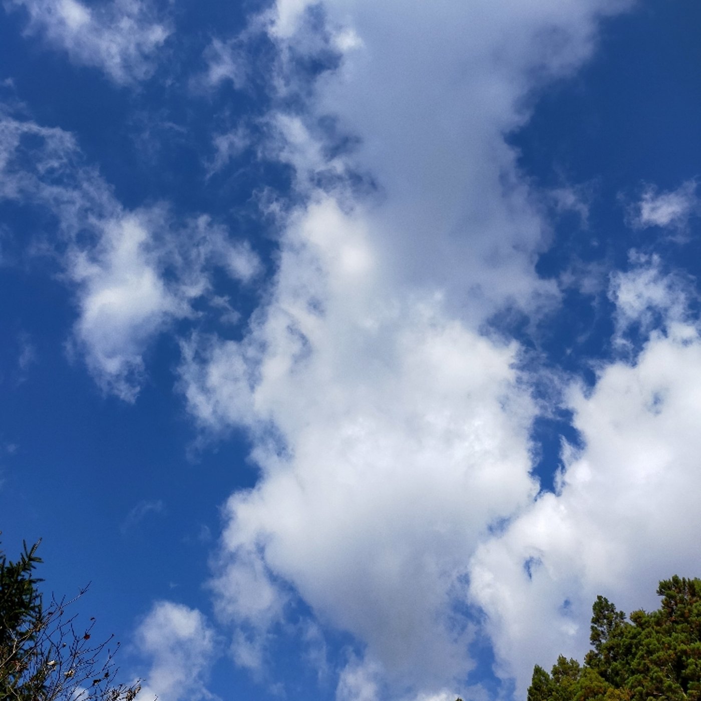 皆さん、高校生の時クイズ番組出ましたか？