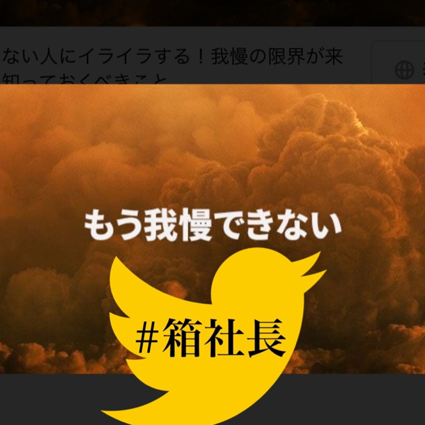 #箱245.年末年始！必死で我慢すべき事！私は我慢してます…涙 episode artwork